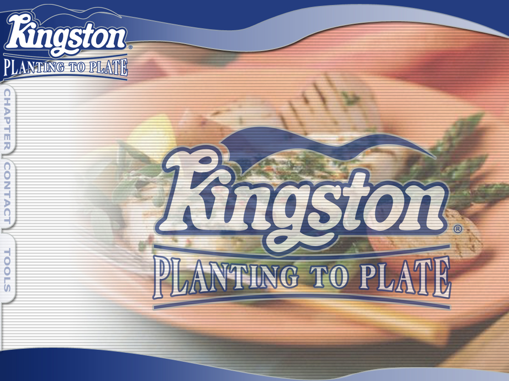 Kingston-CD